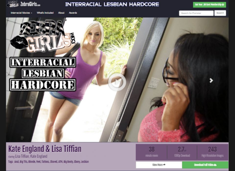 Zebra Girls Lesbian Porn - Zebra Girls - Best Paid Porn Sites